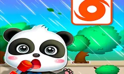 Baby Panda Hurricane Safety