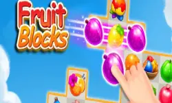 Fruit Blocks