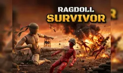 Ragdoll Survivor