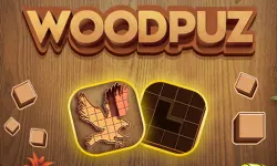 WoodPuz: Block Puzzle Games