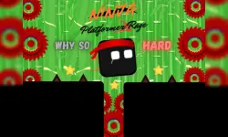 Ninja Platformer Rage
