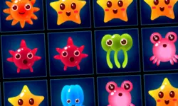 Aquatic Blocks