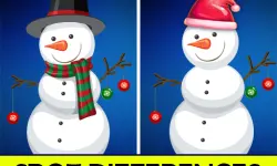 Christmas Spot differences