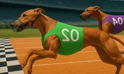 Dog Racing Master Game