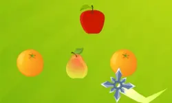 Idle Slice Juicer