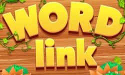 Word Link Puzzle