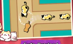 Cat Freeway