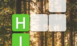 Word Blocks
