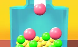 Ball Fit Puzzle