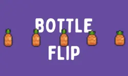 BottleFlip