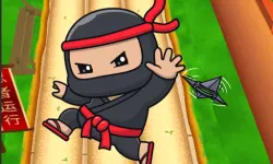Nano Ninjas