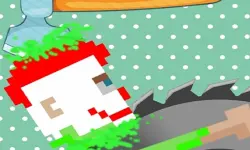 Ragdoll Randy