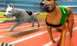 Dogs3D Races