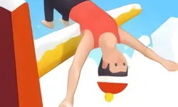Flip Champs 3D