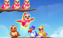 Birds Sort Color Match Puzzle