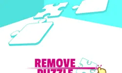 Remove The Puzzle