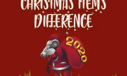 Christmas Items Differences