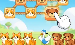 Cute Farm Match Puzzle