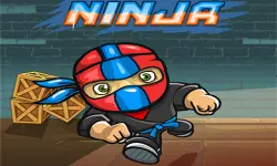 Mini Ninja