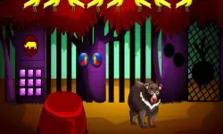 Bear Escape