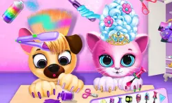 Pet Haircut Beauty Salon