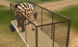 Dino Transport Simulator