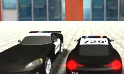 Police Cars