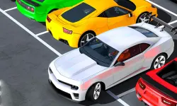 Real Advance Car parking