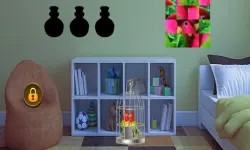 Couple Parrot Escape