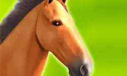 Horse Run 3D