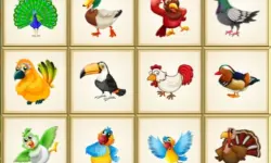 Birds Board Puzzles