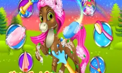 Unicorn Pony Pet Salon