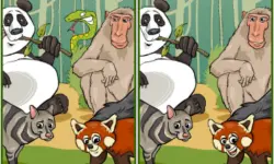 Wildlife Safari Five Diffs