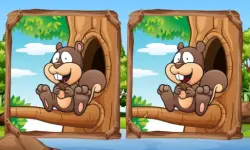 Jungle 5 Diffs