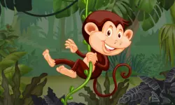 Safari Jigsaw