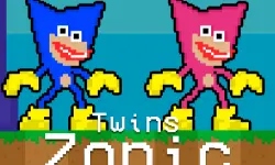 Twins Zonic