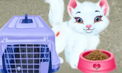 Baby Taylor Pet Care