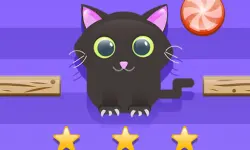 Cut For Cat Challenge