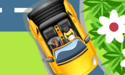 Long Road Trip