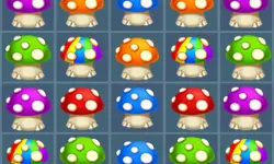 Mushroom Match