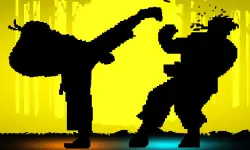 Shadow Fights