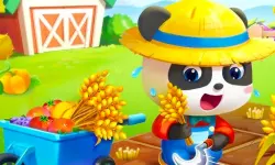 Baby Panda Dream Garden