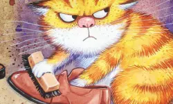 Funny Cats Slide
