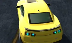 Rac Simulator