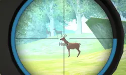 Hunter