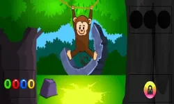 Funny Monkey Forest Escape
