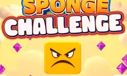 Sponge Challenge