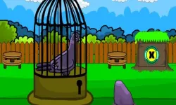 Rescue The Pigeon 2