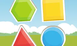 Fit Shape