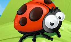 Ladybug Slide
